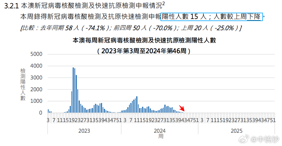 2024澳门今晚开特马结果,数据驱动方案实施_试用版19.807